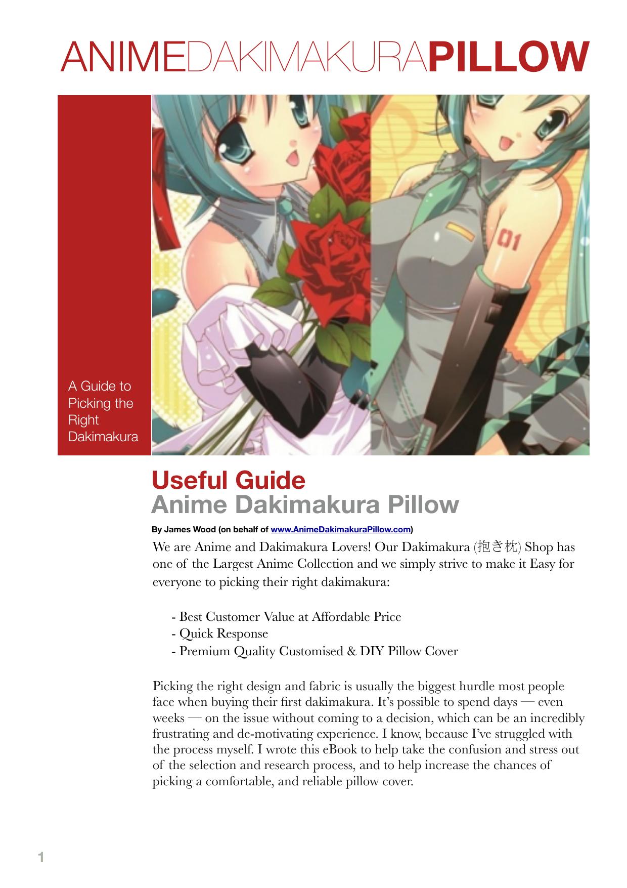 Anime Dakimakura Guide